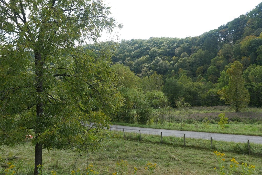 Tbd South Fork River Road, Unit 1 Glade Spring, VA 24340 - Photo 36 of 57 Gallery Image 36