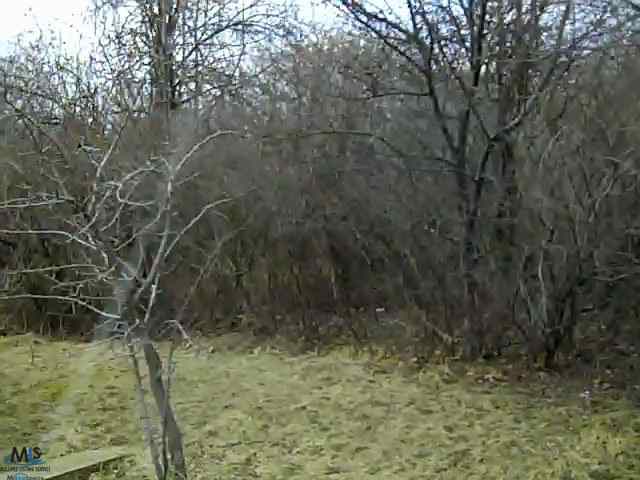 Lot 42 Pippen Romeo, MI 48065 - Photo 1 of 4 31113594.JPG