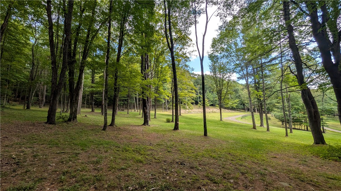 316 Seminary Road Hartwick, NY 13807 - Photo 18 of 46 Gallery Image 18