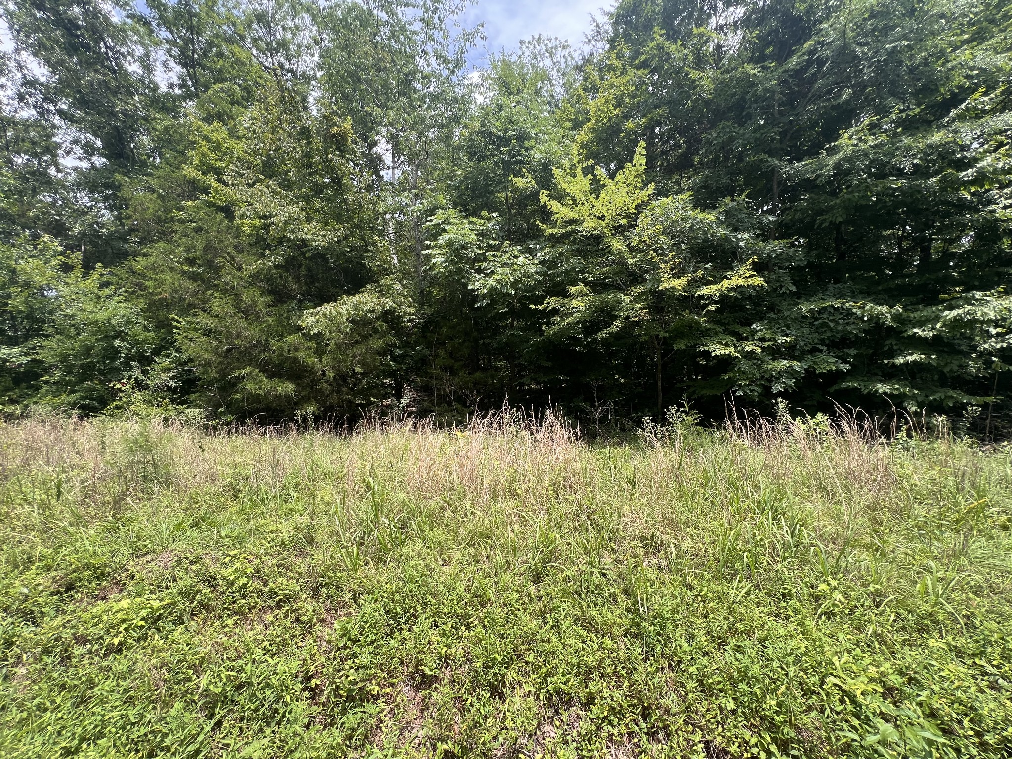 2 Toms Creek Lake Road Linden, TN 37096 - Photo 10 of 11
