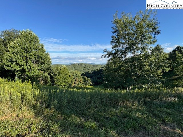 Lot 2 Longview Ridge Fleetwood, NC 28626 - Photo 2 of 10 Gallery Image 2