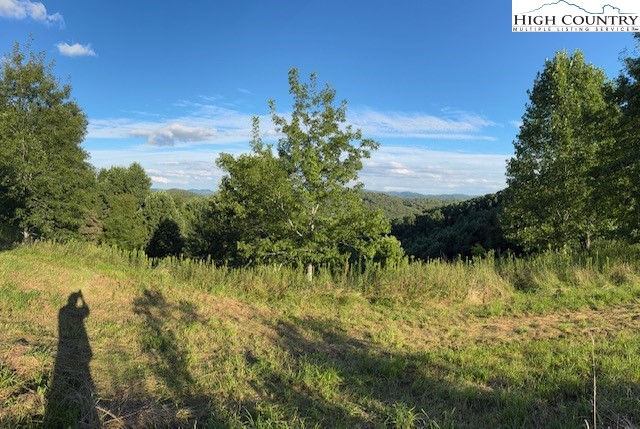 Lot 2 Longview Ridge Fleetwood, NC 28626 - Photo 6 of 10 Gallery Image 6
