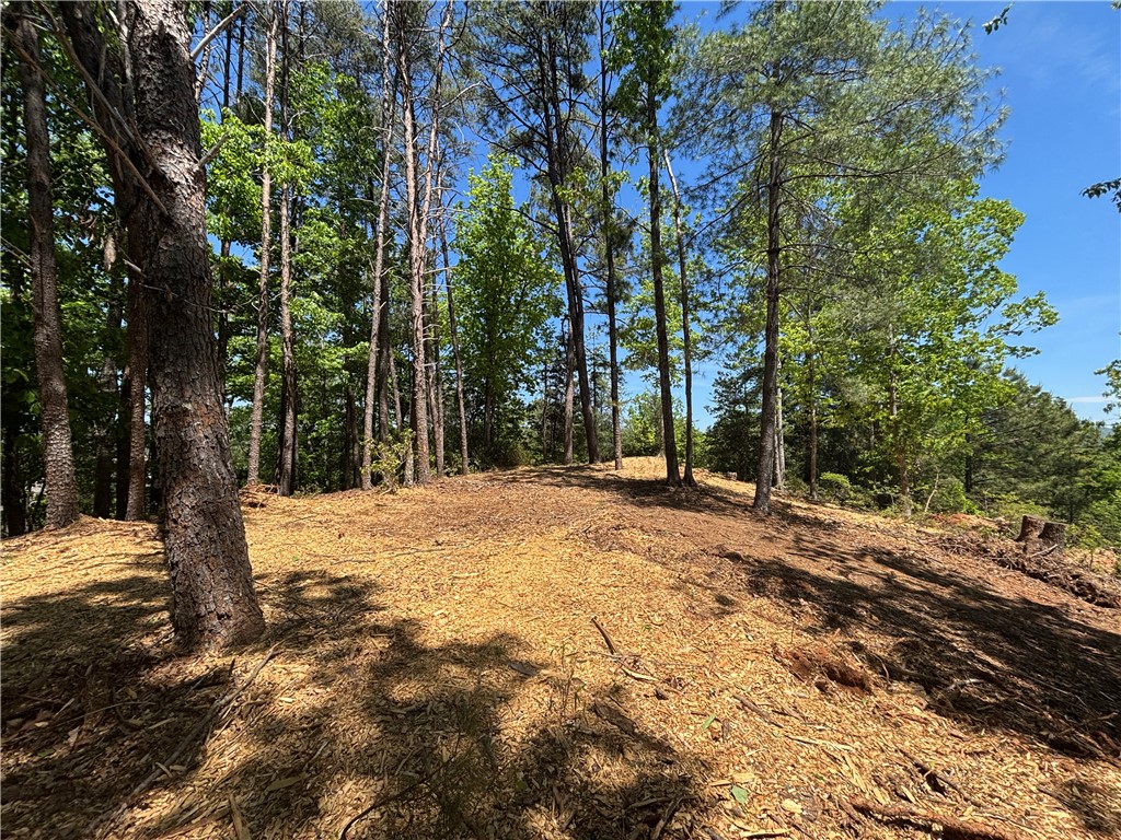 202 Buttercup Way Sunset, SC 29685 - Photo 7 of 8