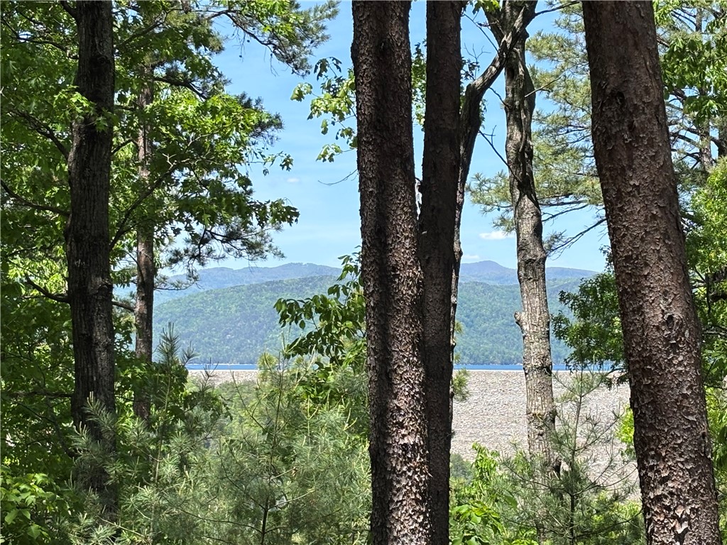 202 Buttercup Way Sunset, SC 29685 - Photo 8 of 8