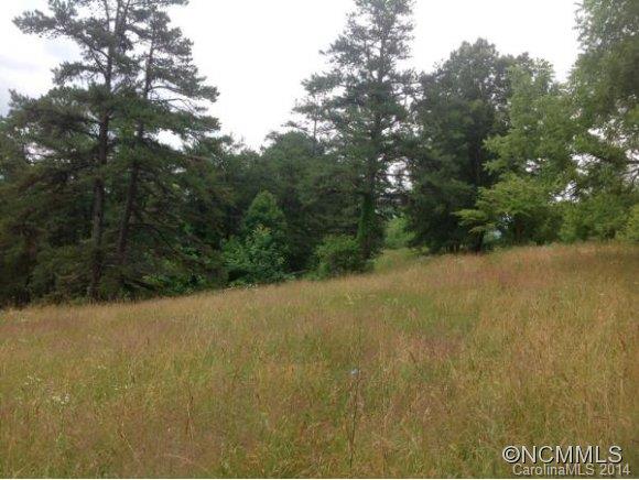 0 Thickety & Harris Road Clyde, NC 28721 - Photo 2 of 15