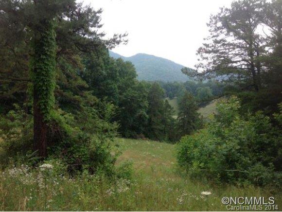 0 Thickety & Harris Road Clyde, NC 28721 - Photo 15 of 15 a view of a field