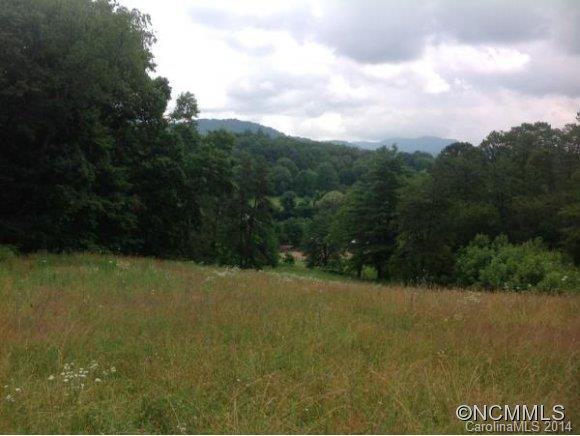 0 Thickety & Harris Road Clyde, NC 28721 - Photo 3 of 15 a view of open space and a yard
