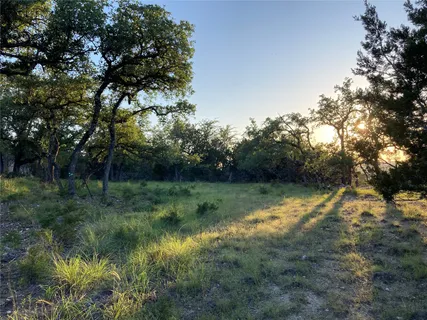 a view of a forest with trees