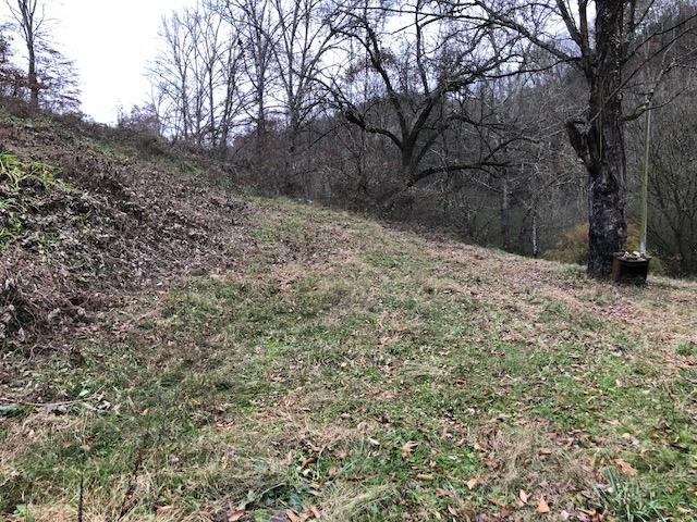 1359 Machine Branch Road Ewing, VA 24248 - Photo 3 of 9 1359f