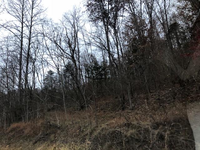 1359 Machine Branch Road Ewing, VA 24248 - Photo 4 of 9 1359a