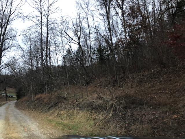 1359 Machine Branch Road Ewing, VA 24248 - Photo 5 of 9 1359b