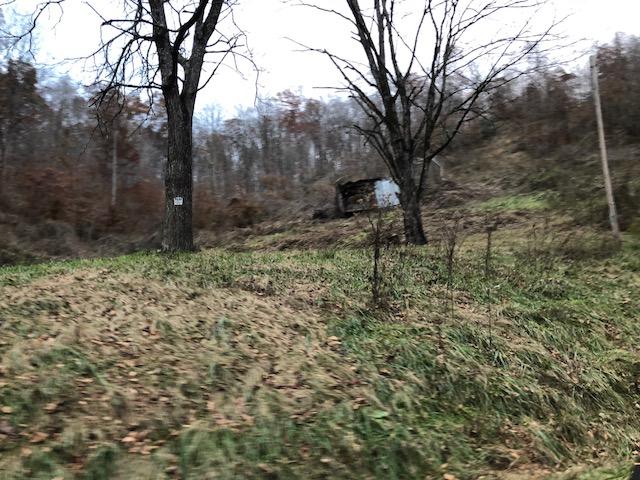 1359 Machine Branch Road Ewing, VA 24248 - Photo 6 of 9 1359c