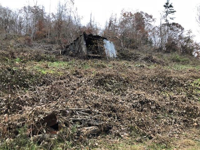 1359 Machine Branch Road Ewing, VA 24248 - Photo 8 of 9 1359g