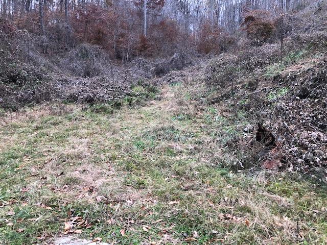1359 Machine Branch Road Ewing, VA 24248 - Photo 9 of 9 1359h