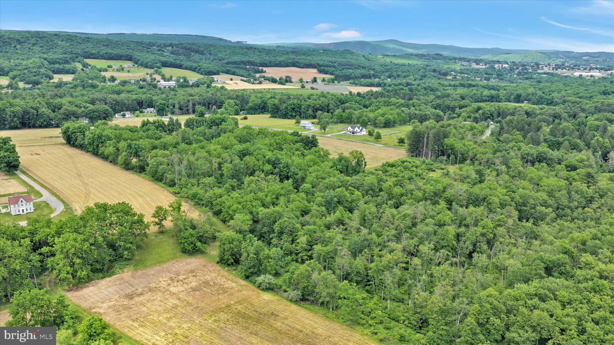 0 Fredericks Grove Road Lehighton, PA 18235 - Photo 8 of 14 Serene countryside landscape vista.