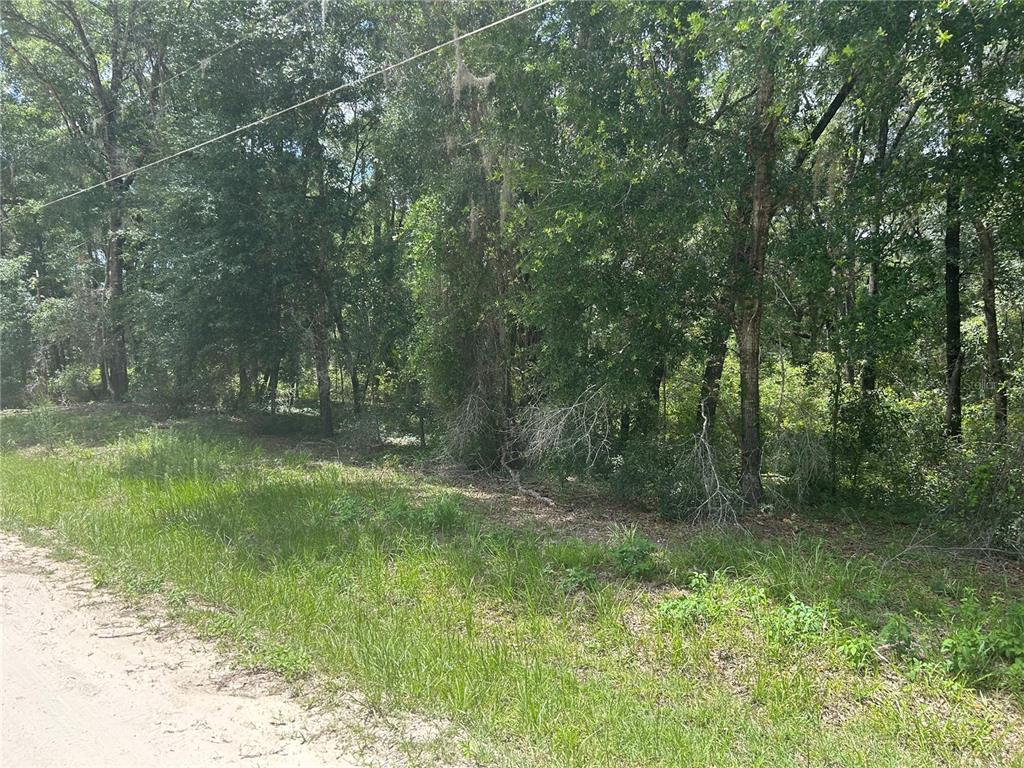 111 Southwest Sw Lane Dunnellon, FL 34432 - Photo 3 of 6