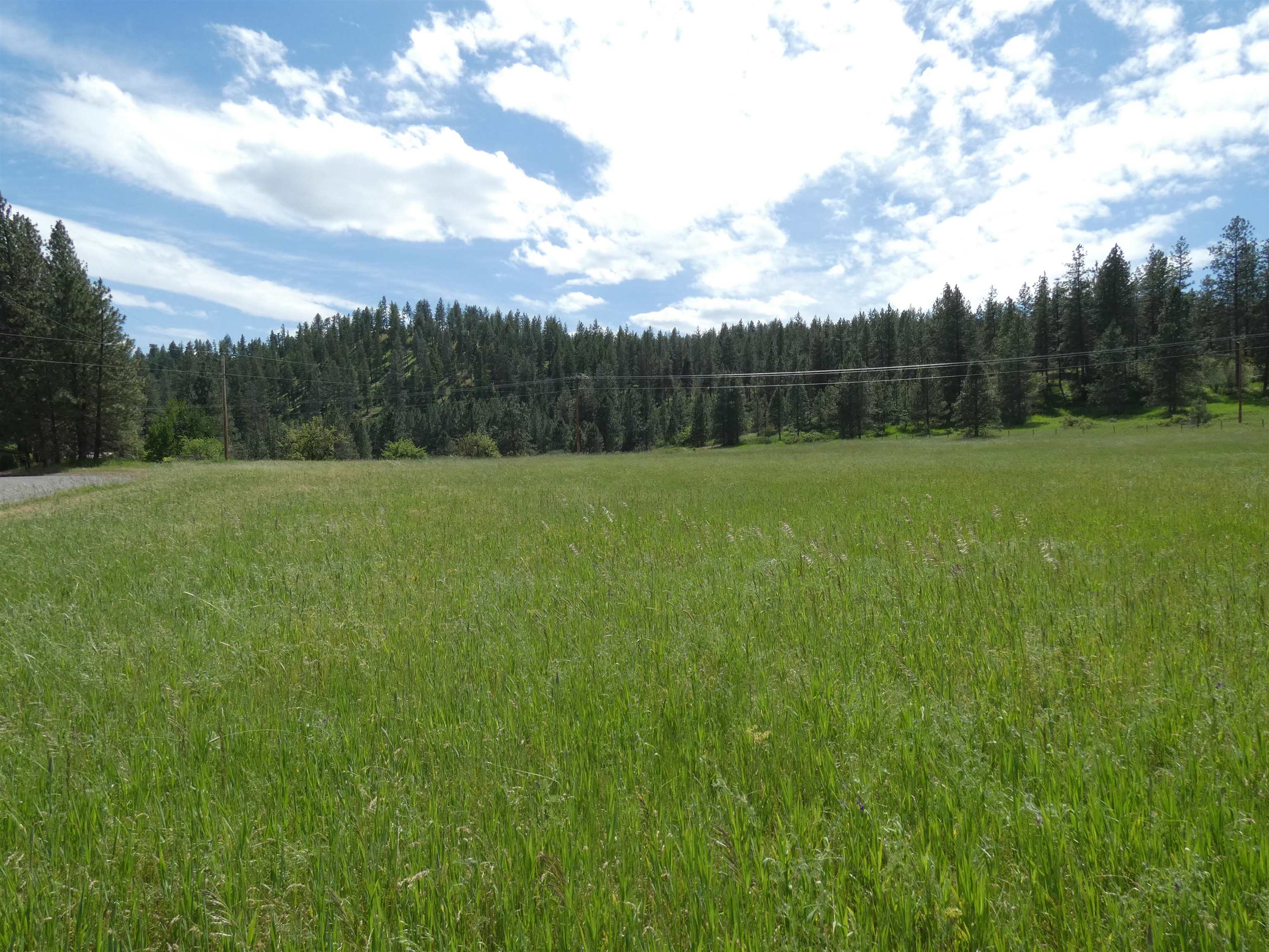 8309 West Jensen Road Cheney, WA 99004 - Photo 5 of 11