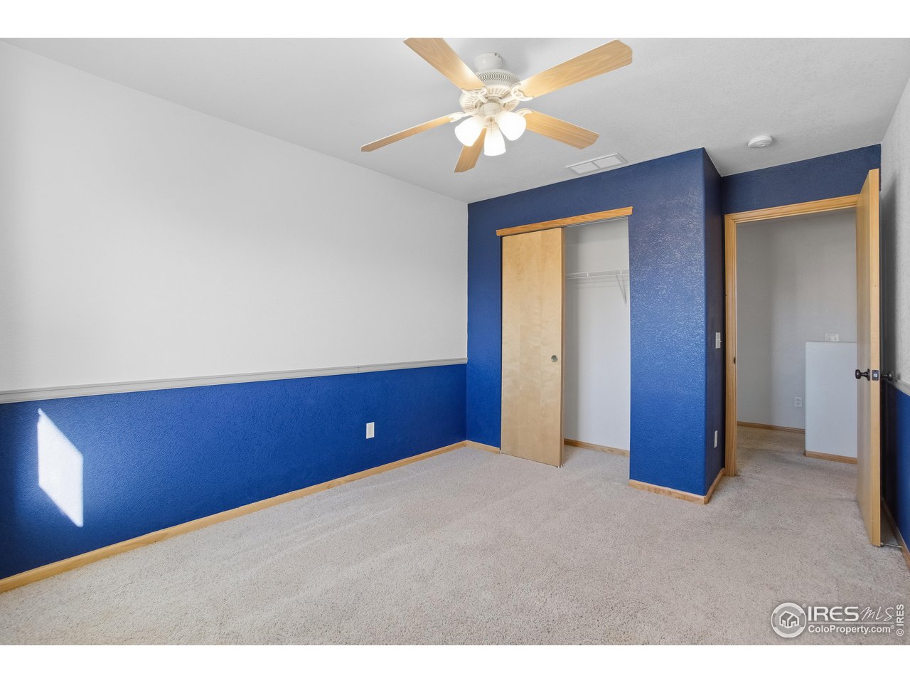 1215 Gaelic Place Fort Collins, CO 80524 - Photo 18 of 24 3rd Bedroom