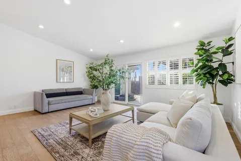 a living room with furniture potted plant and a window