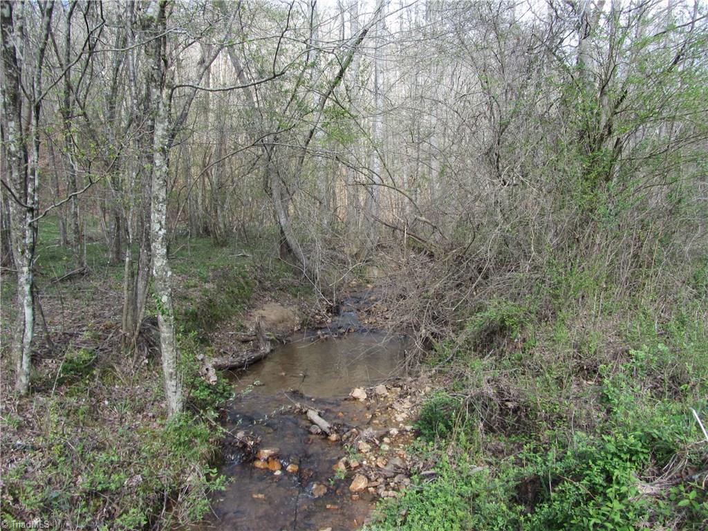 855 Park Road Mayodan, NC 27027 - Photo 29 of 30