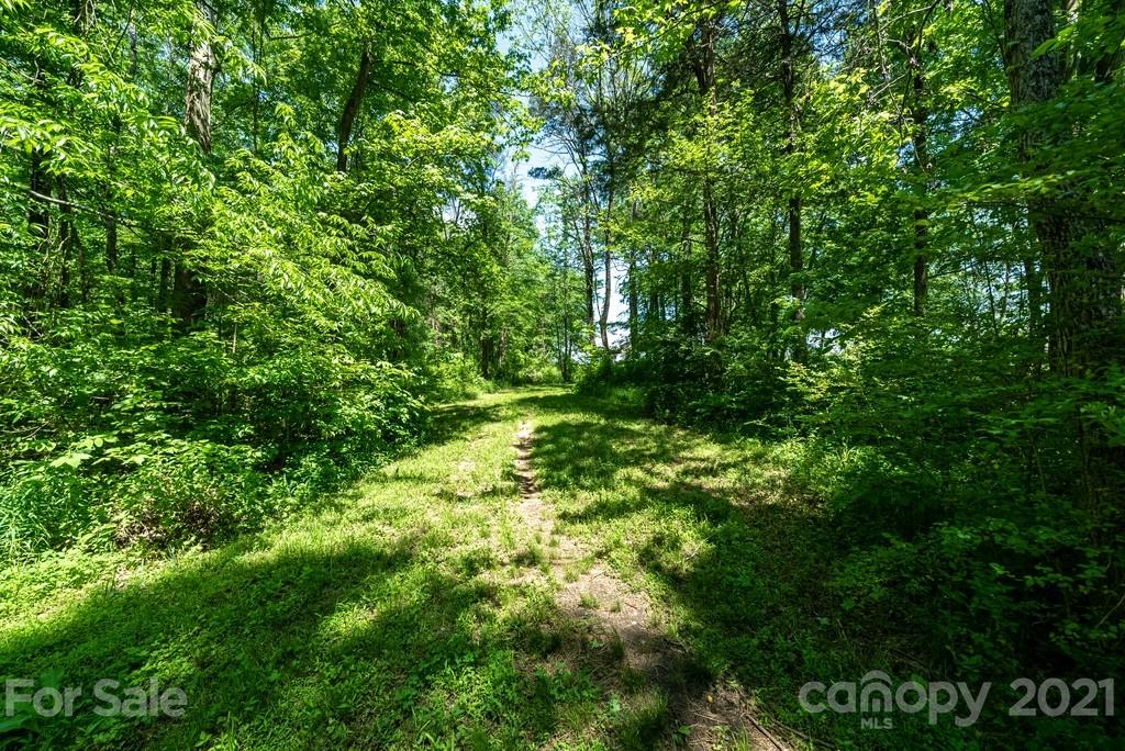 310 Bridle Path Farm Road Cleveland, NC 27013 - Photo 43 of 48 a view of a lush green forest