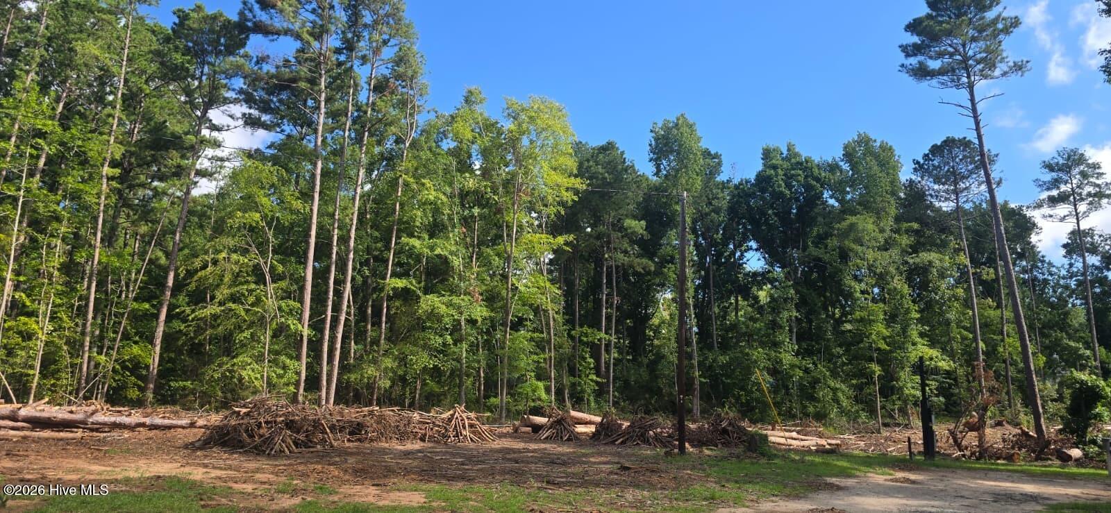 5628 Tubman Road Appling, GA 30802 - Photo 11 of 42 Gallery Image 11
