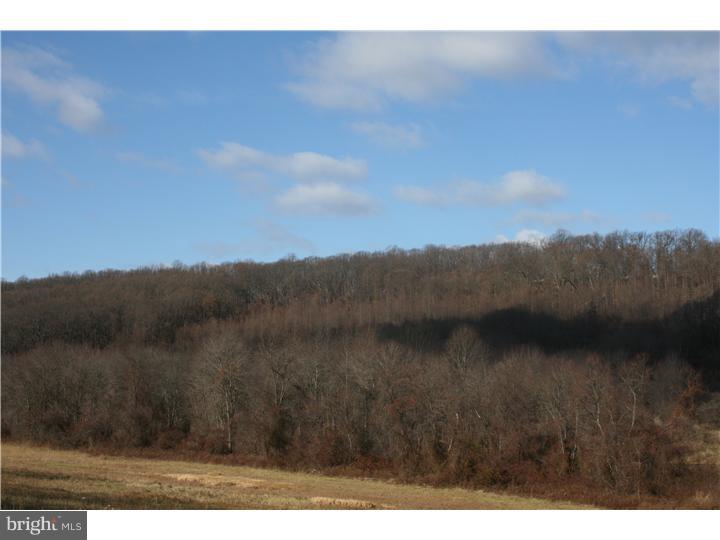 130 Dowlin Forge Road Downingtown, PA 19335 - Photo 3 of 4 Gallery Image 3