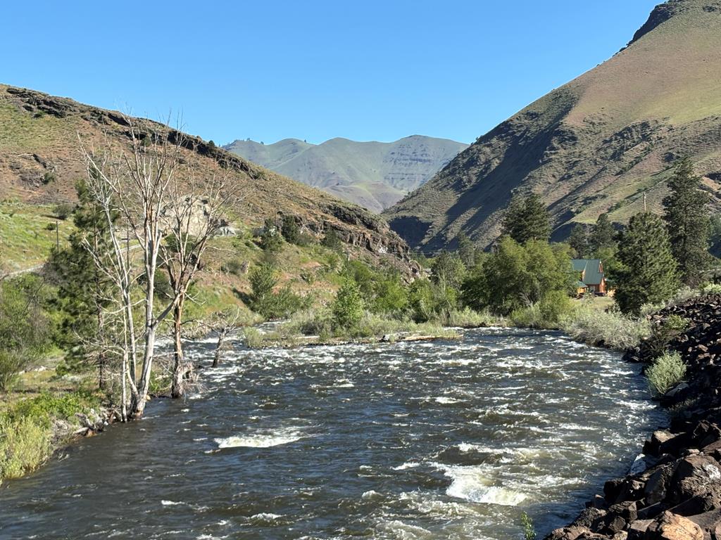 Tbd Abby Lane, Unit 5 Pollock, ID 83547 - Photo 11 of 12