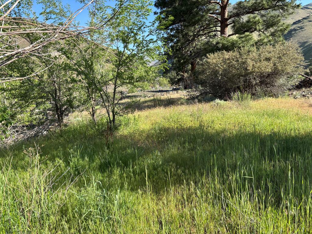 Tbd Abby Lane, Unit 5 Pollock, ID 83547 - Photo 9 of 12