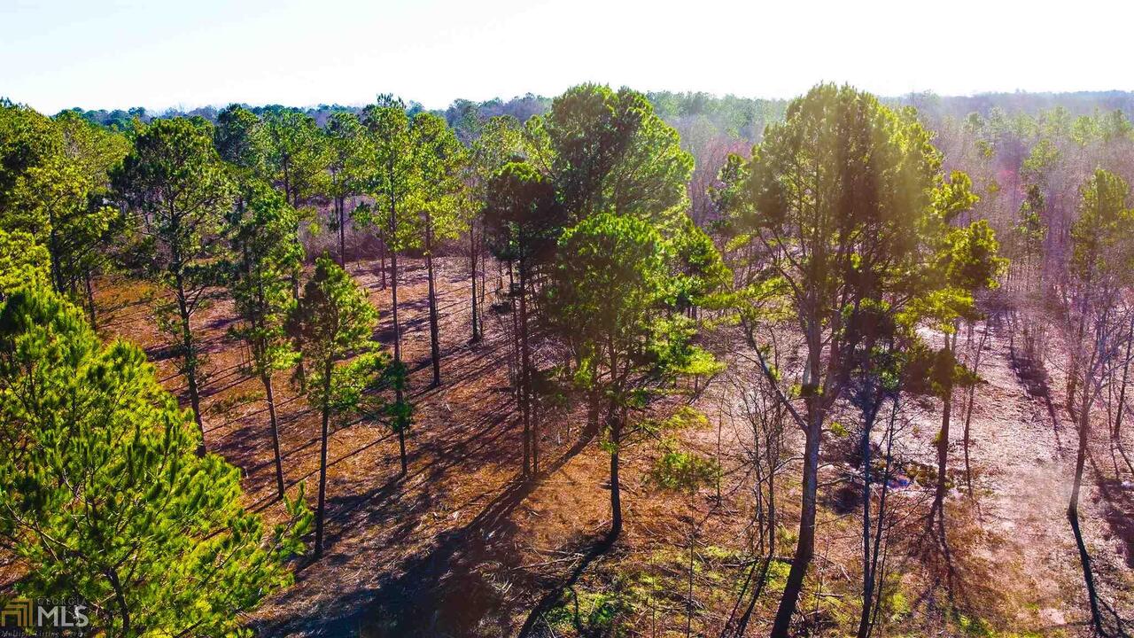 0 Highway 5 West, Unit TRACT 3 Roopville, GA 30170 - Photo 1 of 1