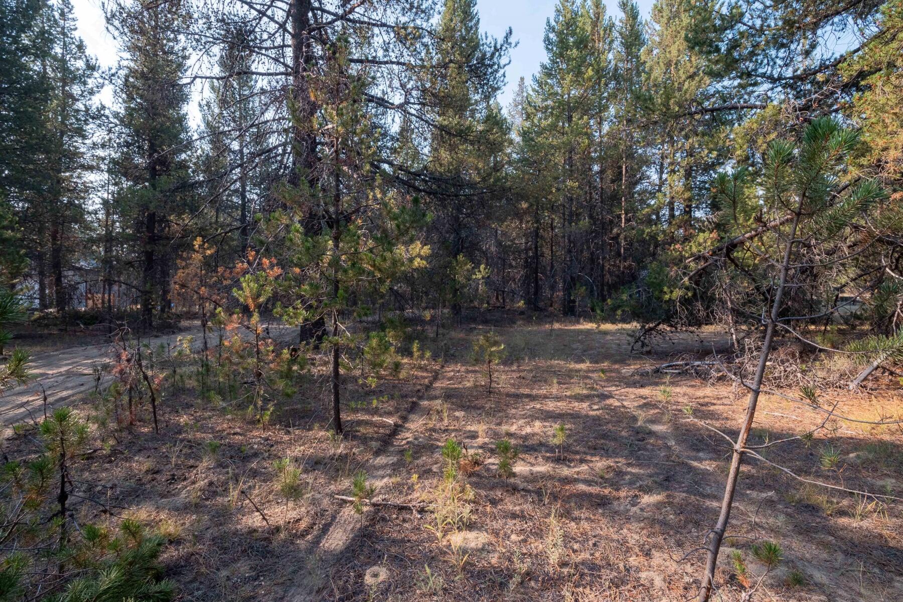 16115 Dyke Road La Pine, OR 97739 - Photo 8 of 10 batch_16115 Dyke Rd-GH5-Low-Res-3