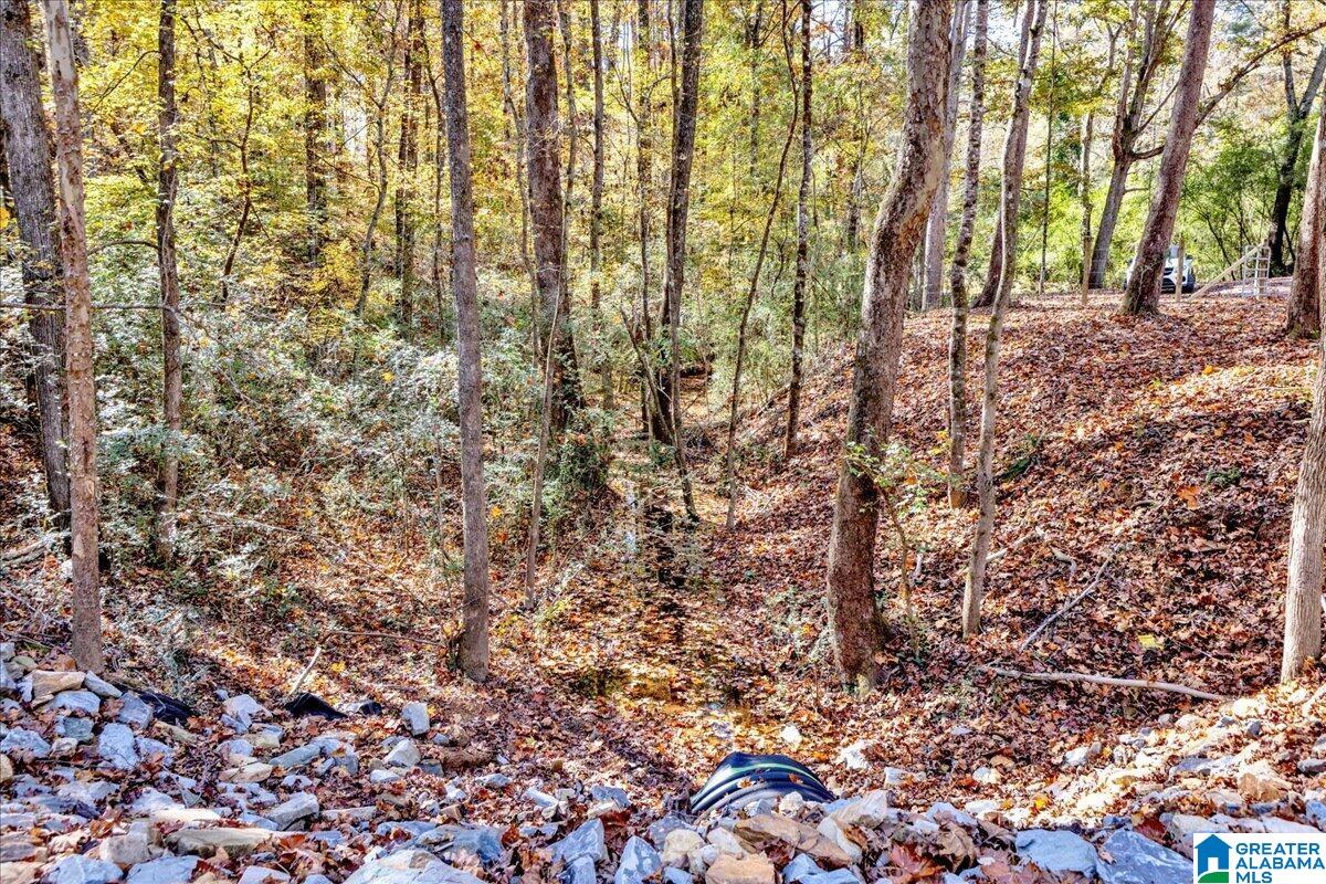 0 Hammock Road Trussville, AL 35173 - Photo 9 of 31