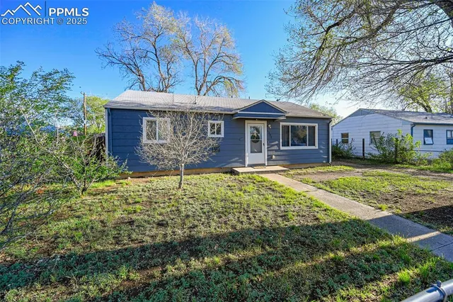 a view of a house with a large tree and a yard in front of it