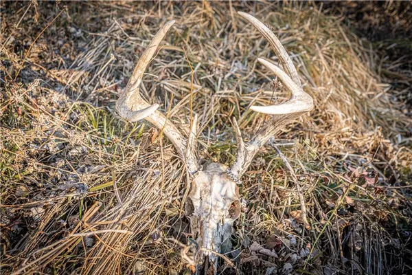 $450,000 | 6260 183rd Road, Chanute, KS 66720