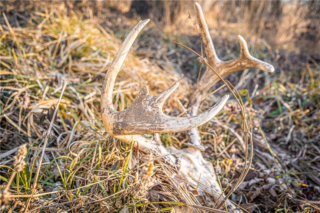 6260 183rd Road Chanute, KS 66720 - Photo 56 of 92