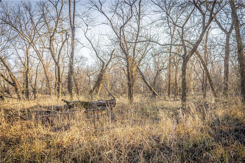 6260 183rd Road Chanute, KS 66720 - Photo 77 of 92