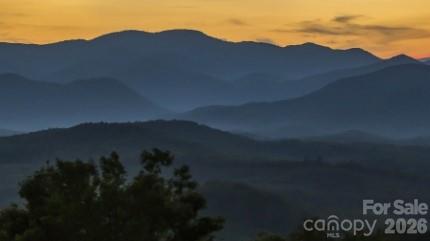 0 The Fls Road, Unit 1 Union Mills, NC 28167 - Photo 6 of 15 Gallery Image 6
