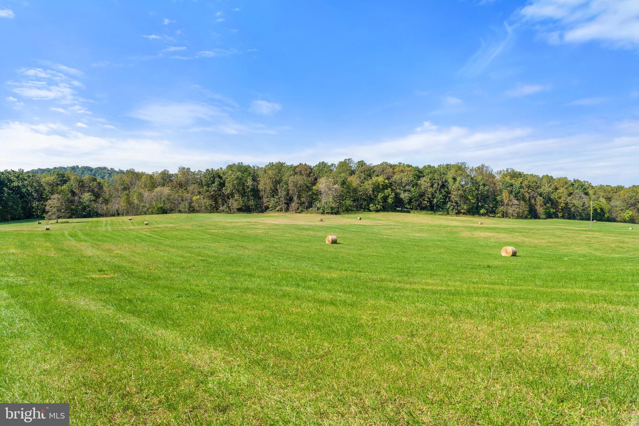 0 Richmond Road Castleton, VA 22716 - Photo 11 of 15 Woodlands buffer