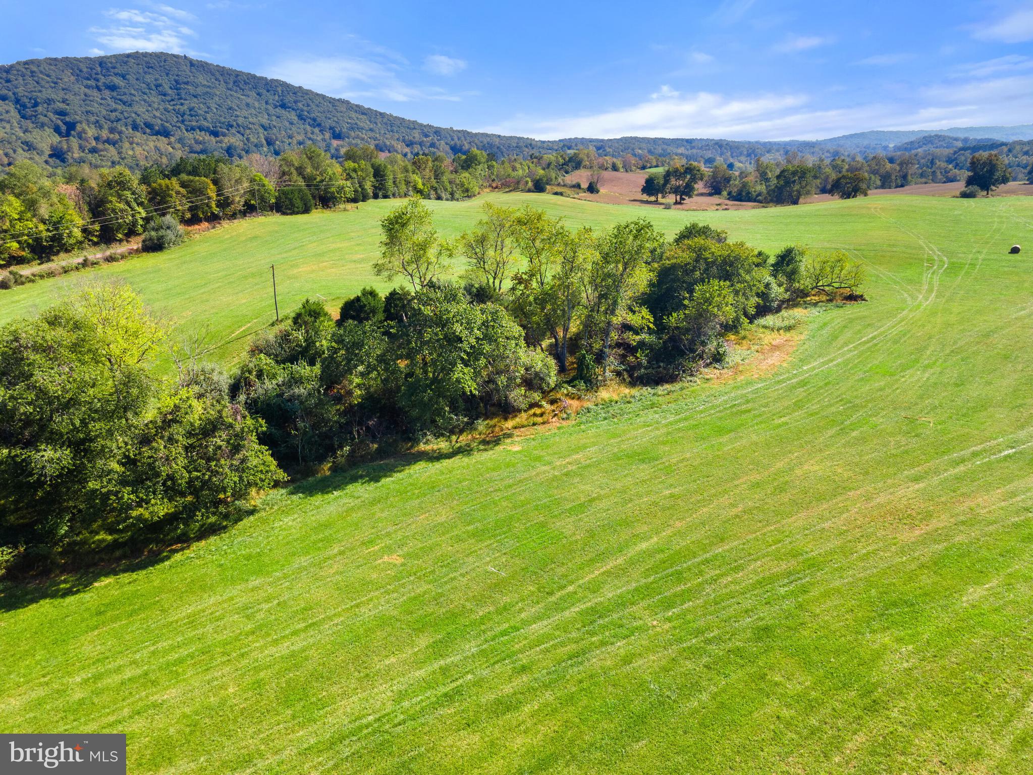 0 Richmond Road Castleton, VA 22716 - Photo 5 of 15 Several potential building sites