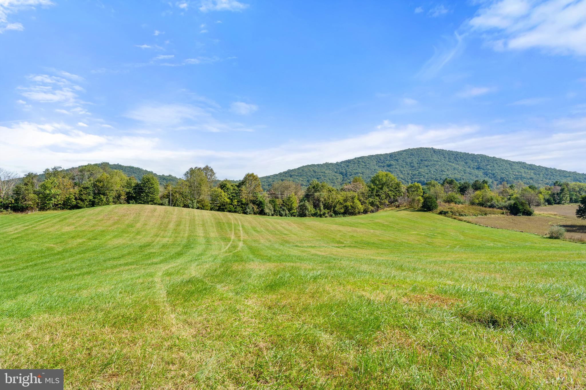 0 Richmond Road Castleton, VA 22716 - Photo 10 of 15 Battle Mountain view