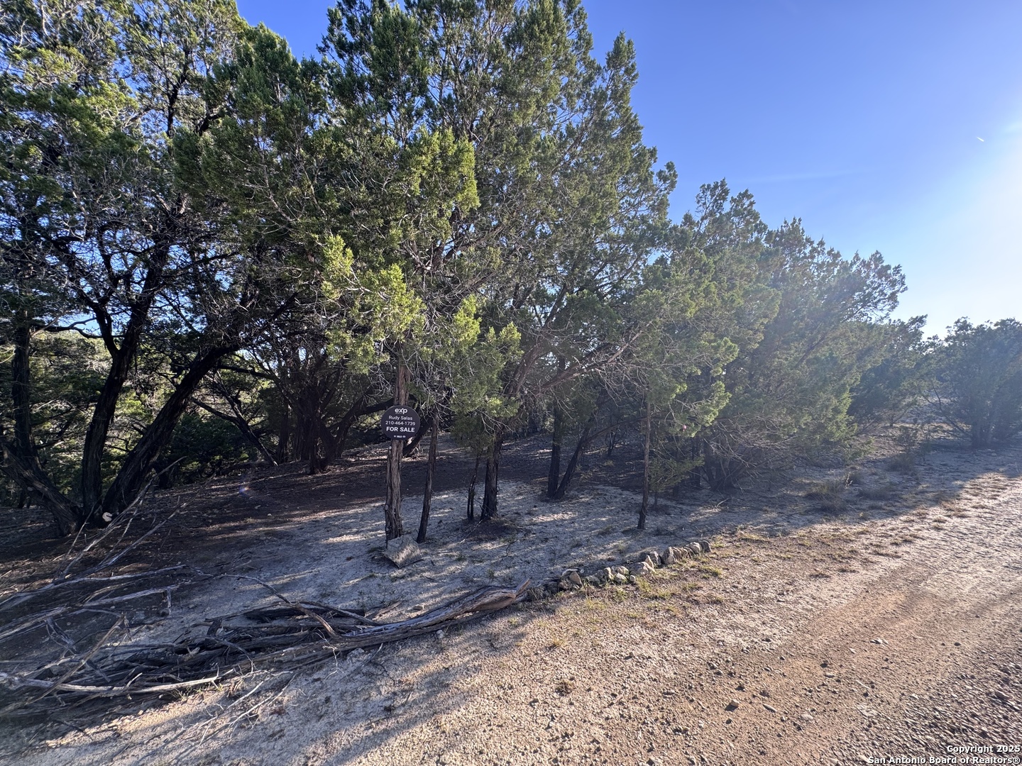169 Center Point Road Bandera, TX 78003 - Photo 11 of 29 a view of a yard with a tree