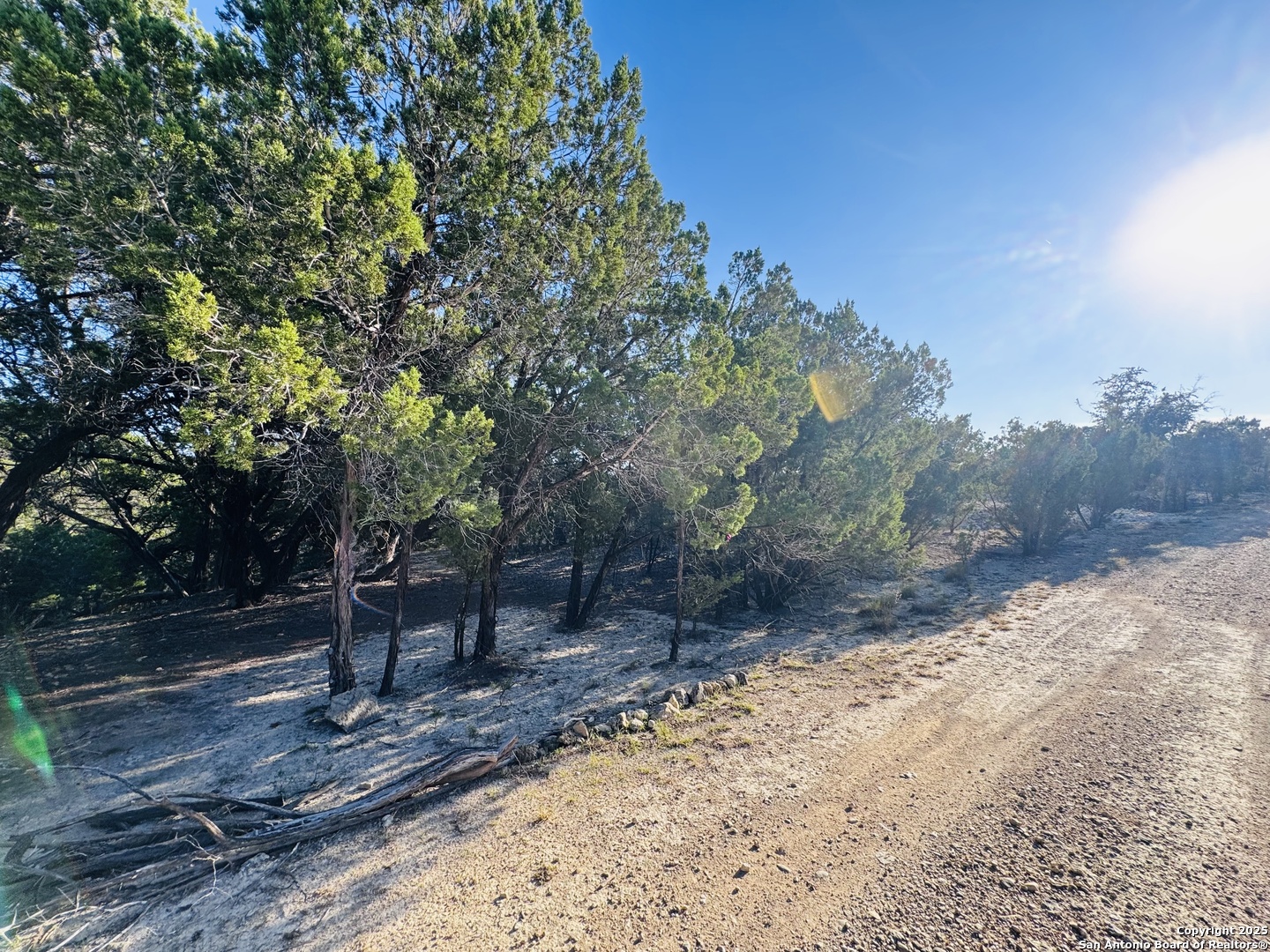 169 Center Point Road Bandera, TX 78003 - Photo 12 of 29 a view of a yard with plants and trees