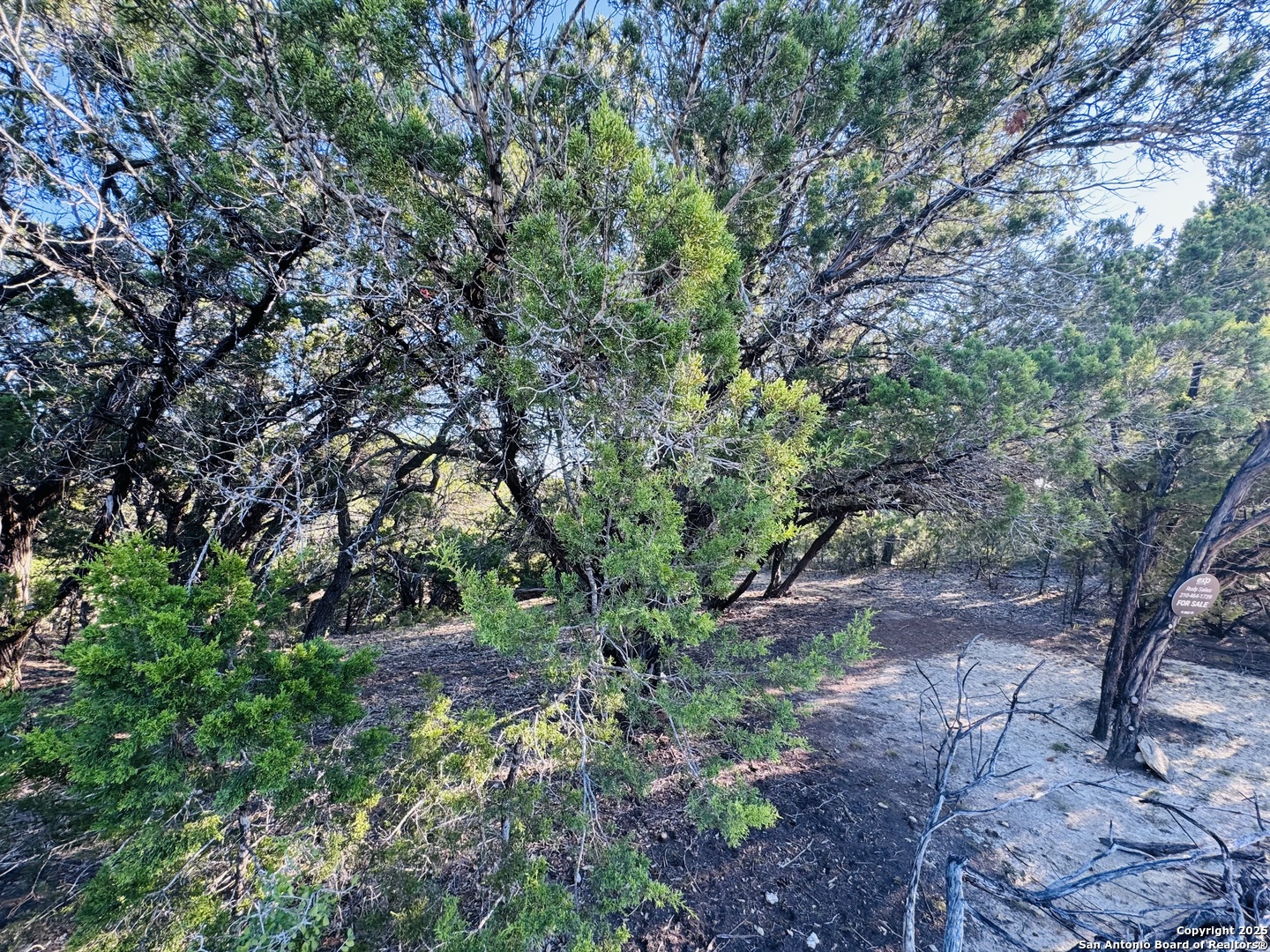 169 Center Point Road Bandera, TX 78003 - Photo 14 of 29 a backyard of a house with lots of green space