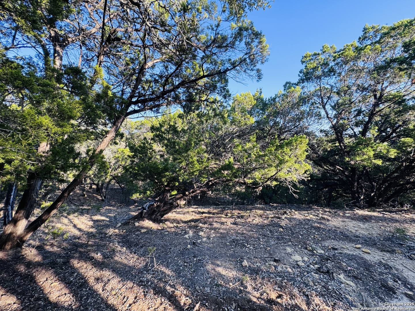 169 Center Point Road Bandera, TX 78003 - Photo 6 of 29 a view of outdoor space and a yard
