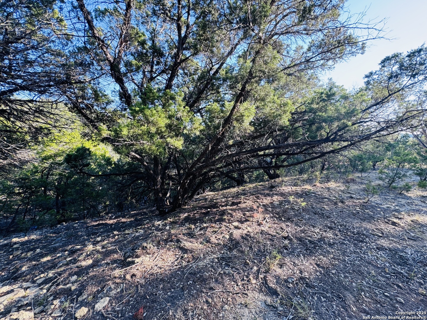 169 Center Point Road Bandera, TX 78003 - Photo 7 of 29 a big yard with lots of green space