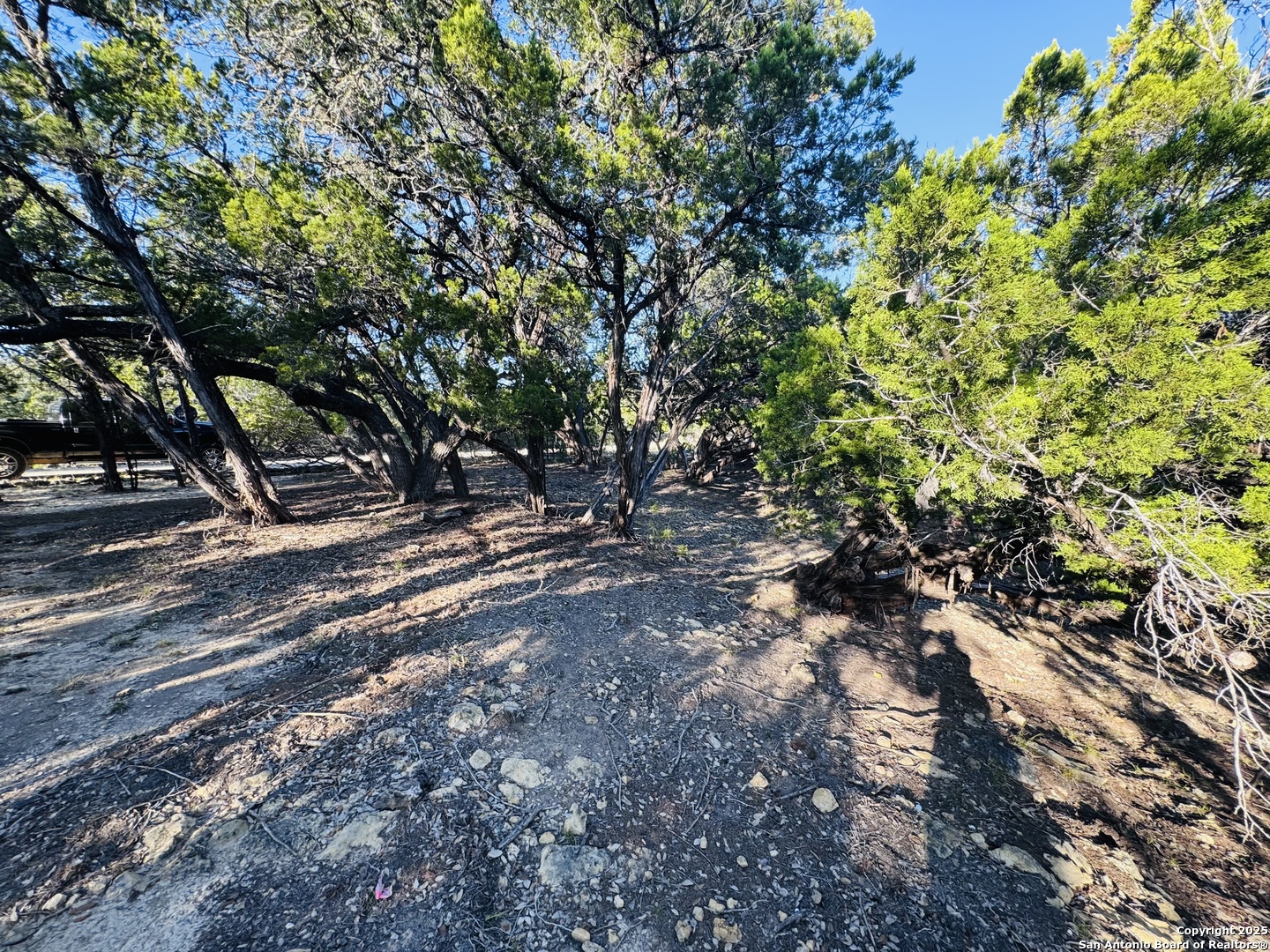 169 Center Point Road Bandera, TX 78003 - Photo 8 of 29 a view of a forest with trees