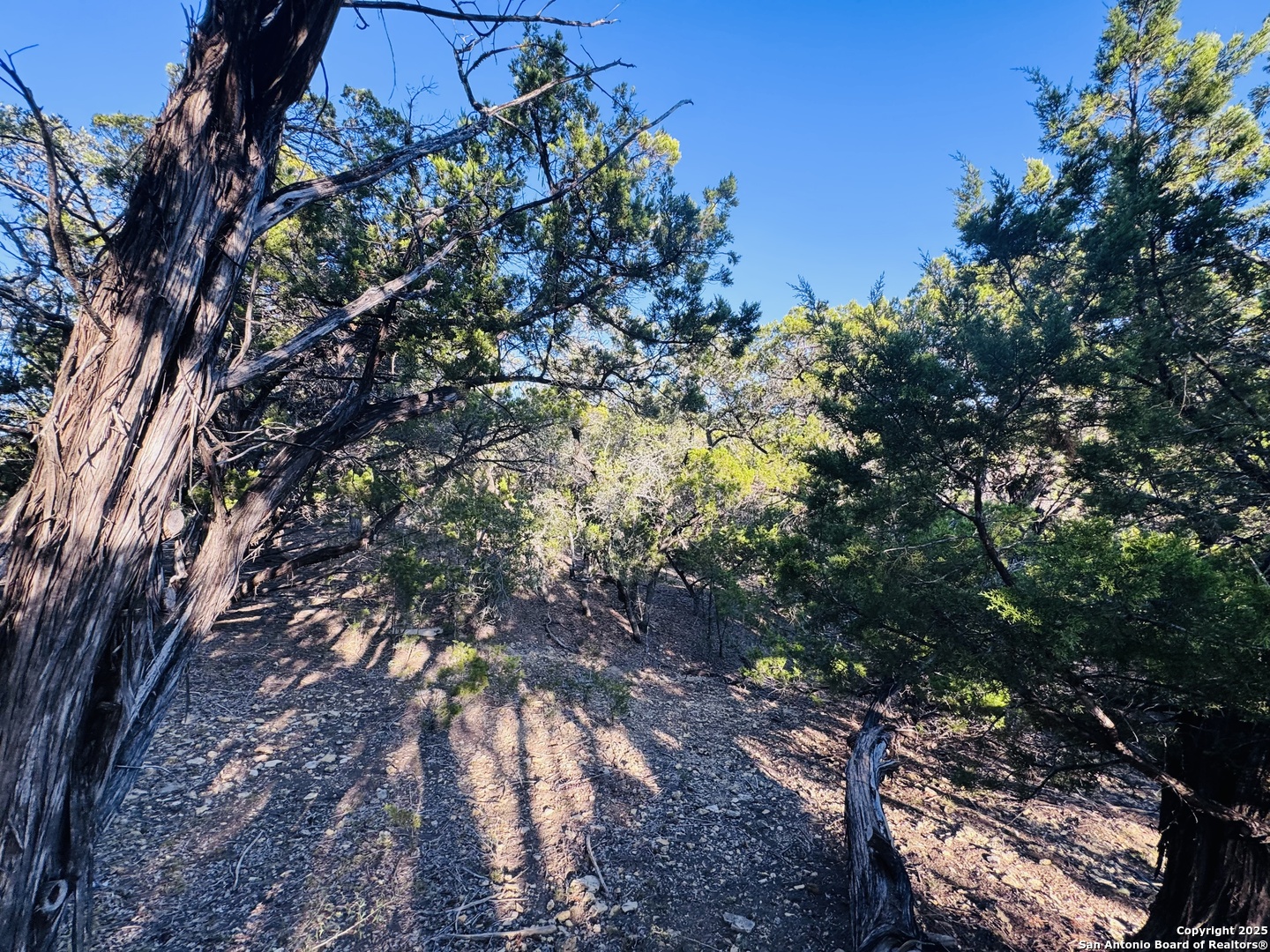 169 Center Point Road Bandera, TX 78003 - Photo 9 of 29 a backyard of a house