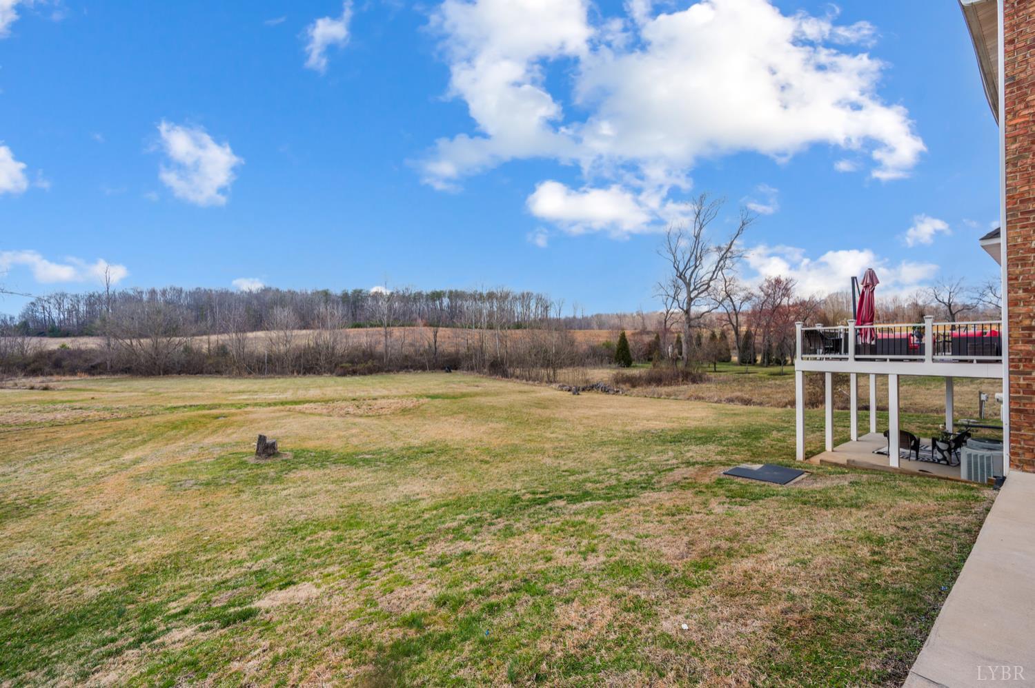 2175 Colby Drive Forest, VA 24551 - Photo 69 of 94