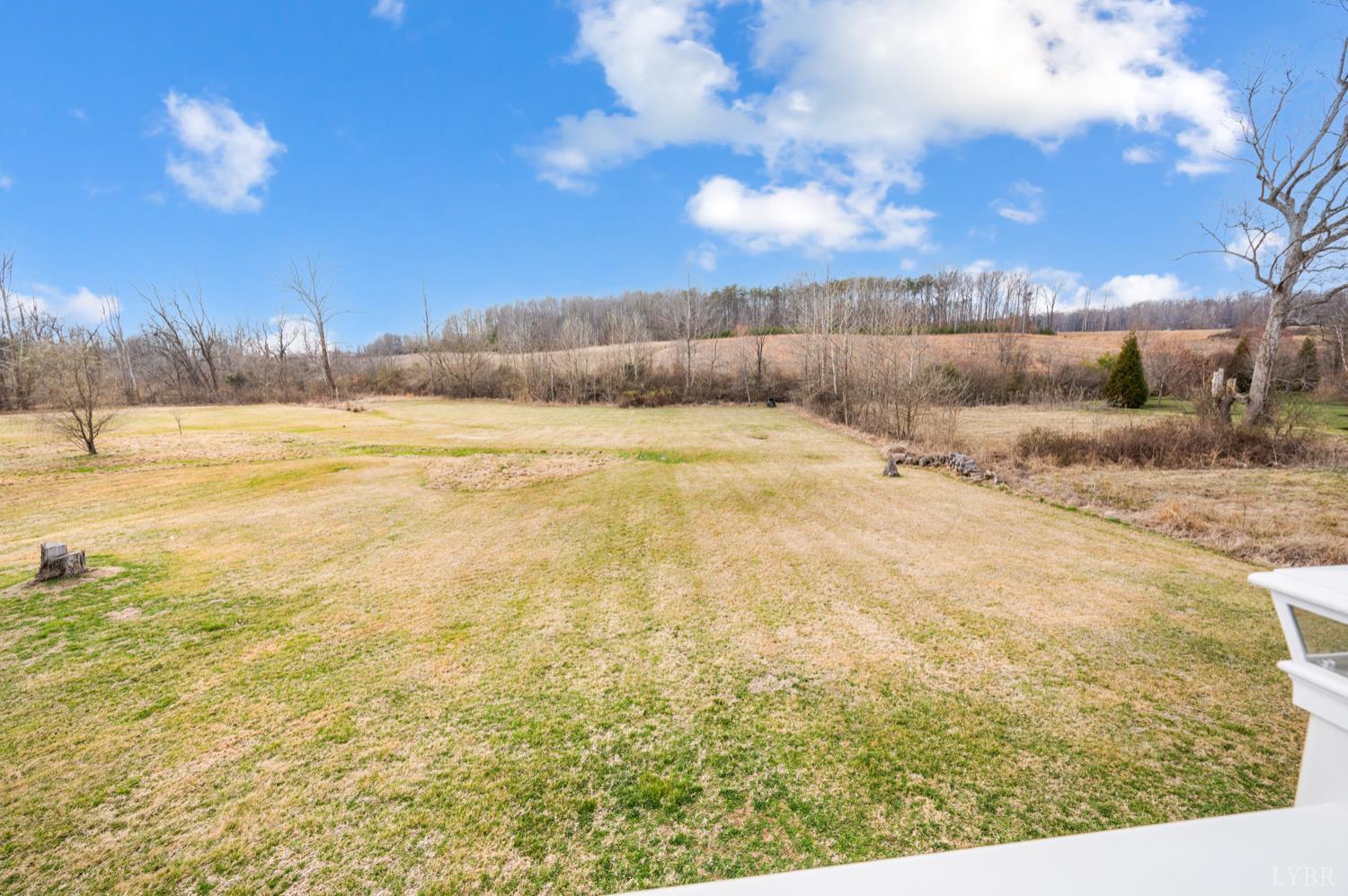 2175 Colby Drive Forest, VA 24551 - Photo 73 of 94