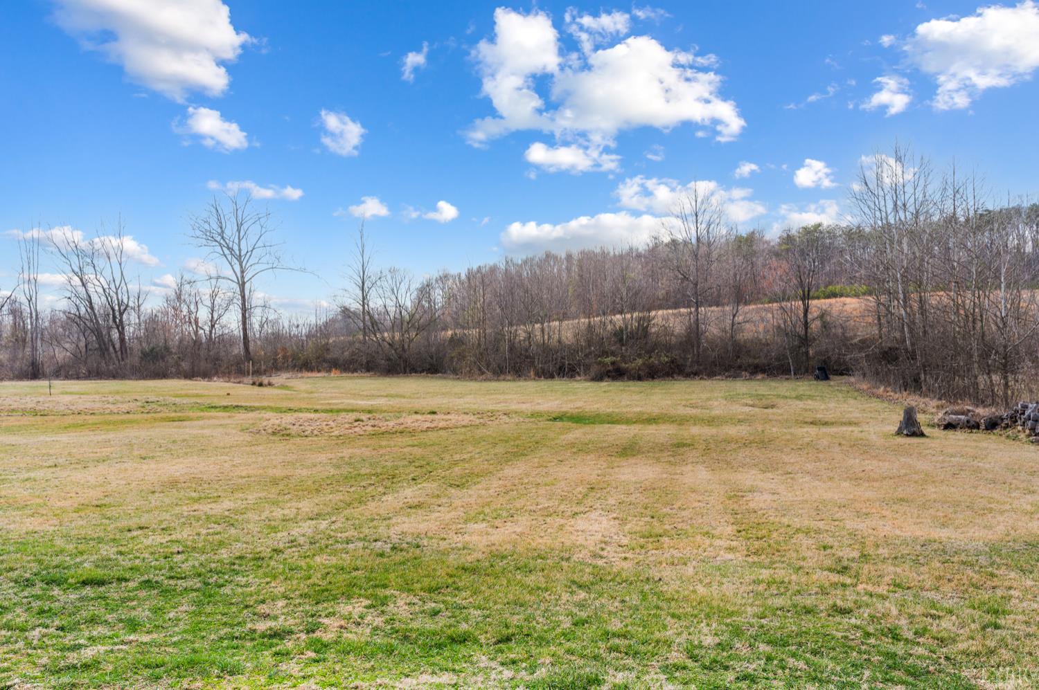 2175 Colby Drive Forest, VA 24551 - Photo 77 of 94